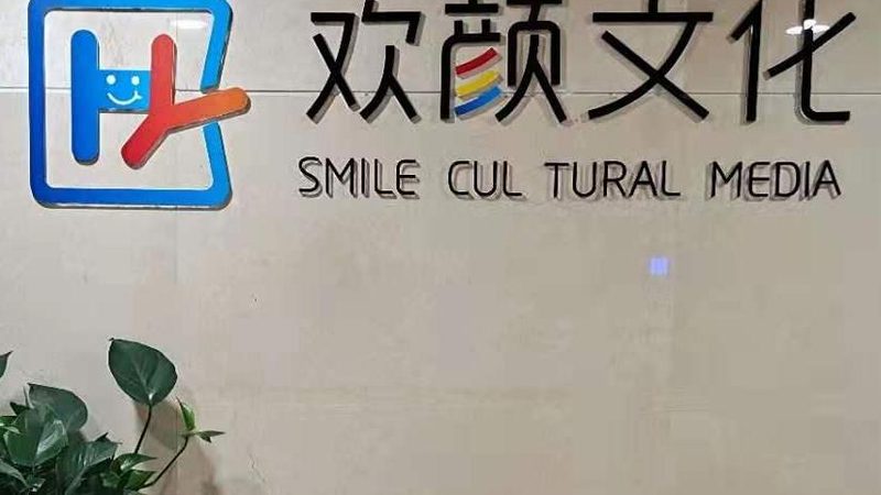 在明确目标受众和选择媒介平台的基础上，制定合理的投放方案。主要包括以下几个方面：